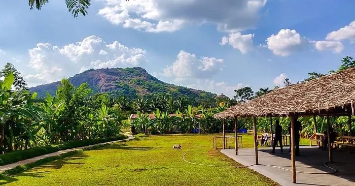 No More Boring Team Dinners: 5 Best Team Outings in Bangalore to Ignite Collaboration!